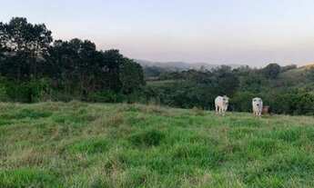 Imagem 4: M12- Terrenos apenas 800 metros do asfalto
