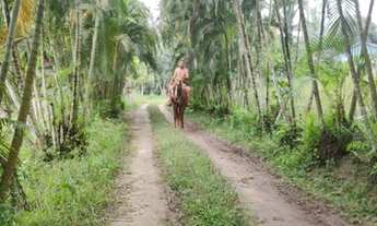 Imagem 5: Chácara próximo a Alexandra ,fica a uns 40 km de matinhos
