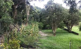 Imagem 6: Vende se belíssima chácara na Fazenda Bom Retiro