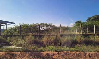 Imagem 5: Excelente Terreno com 2.000 metros a 300 metros da rio grandese distribuidora