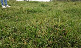 Imagem 4: Lote/Terreno para venda possui 1000 metros quadrados com 1 quarto