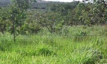 Imagem 6: Chácara de 5.000m² a 500m² do asfalto, São Jose do Almeida (Temos varias opções)