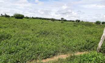 Imagem 2: 107 alqueires Guarantã do Norte- Mt