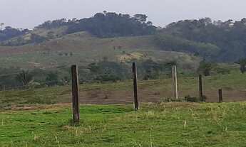 Imagem 3: 430 alqueires Monte verde-MT