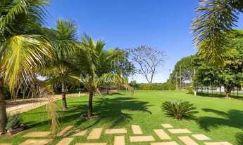 Imagem: CORDEIRóPOLIS - Chácara - Cascalho