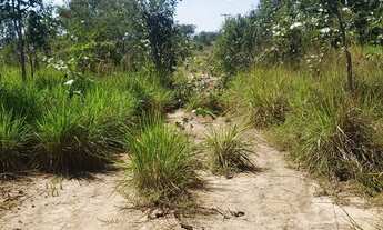 Imagem 2: Fazenda a venda no Piauí 10 km da Fazenda progresso
