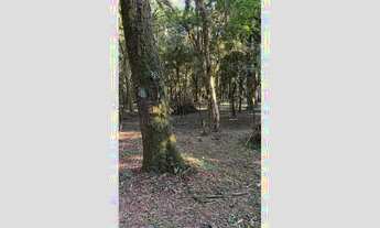 Imagem 3: OTIMA OPORTUNIDADE PARA PASSAR O FINAL DE SEMANA E FESTAS