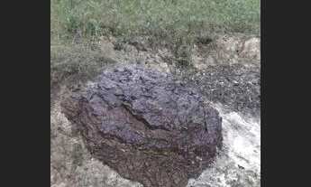 Imagem 6: Vende-se ou troco por casa carro caminhao