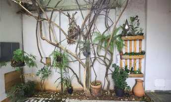 Imagem 2: Excelente casa a venda na vila Monteiro, com garagem para vários carros, 4 dormitórios, 1