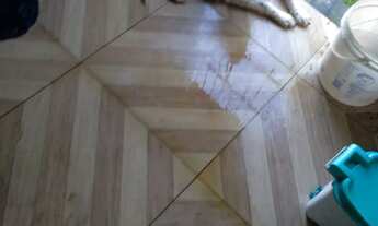 Imagem 5: Vende-se casa no Bairro Antares, com 3 quartos