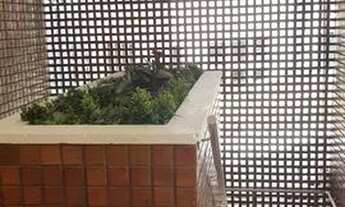 Imagem 3: Sala Comercial no Cond Alfa Barra