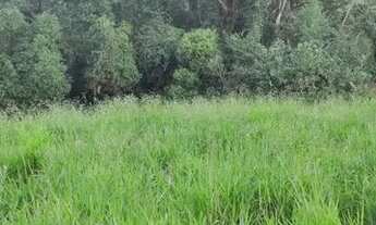 Imagem: Lote/Terreno para venda possui 500 metros