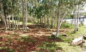 Imagem 7: Chácara de 1.000 metros quadrados no Miranda 1, no Condomínio Recanto Bela Vista