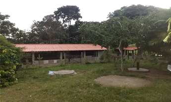 Imagem 6: Chácara DF 260 Café sem troco São Sebastião