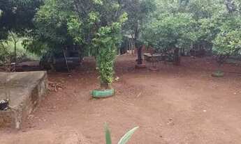 Imagem 7: Chacara em caldazinha com casa de 3/4 pomar riacho no fundo