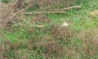 Imagem 2: Vendo terreno Terreno / lote com venda por R$55