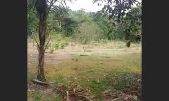 Imagem 2: Vende-se ou troco por casa carro caminhao