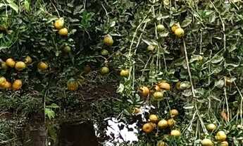 Imagem 4: PARAISO EXCLUSIVO NA PRAIA DO ESTALEIRO