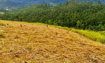 Imagem: Terreno Mairiporã com bela vista e valores