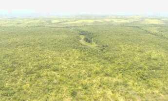 Imagem 2: Fazenda em Rio Sono. Irrigação