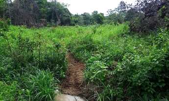 Imagem 5: Chácara em Senador Canedo- Go