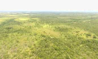 Imagem: Fazenda em Rio Sono. Irrigação