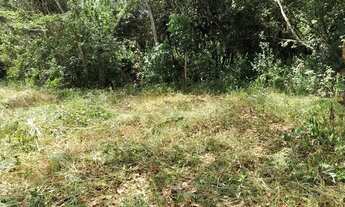 Imagem 4: Oportunidade Lote situado no Casquilho/ Conceição do Pará