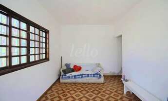 Imagem 6: São Paulo - Terreno Padrão - Jabaquara