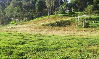 Imagem 3: Chácara formada, 12mil metros quadrados
