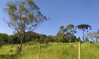 Imagem 2: TERRENOS PARA FORMAÇÃO DE CHÁCARA R$ 120.000,00 1.600 metros com escritura definitiva EMB