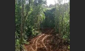 Imagem 6: Chácara 31 hectares 450,000,00 avista com arroio