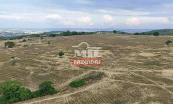 Imagem 3: Fazenda 20 alqueires (96,8 hectares) Itauçu - Go