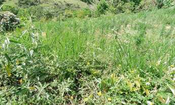 Imagem 6: Vendo excelente sítio no município de Jaguaripe