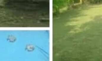 Imagem 6: Alugo final de Ano, casa 4 quartos sendo 1 suite e cozinha completa.