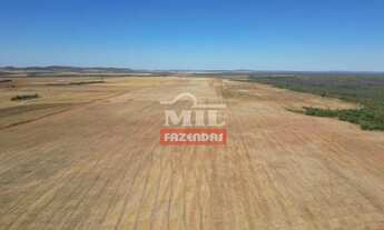 Imagem 2: Fazenda 255 Alqueires (1.234 Hectares) Palmas - To