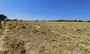 Imagem 6: Fazenda Rural à venda, Zona Rural, Jaraguá - FA0006