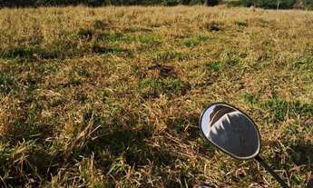 Imagem 5: Fazenda arrendamento pra GADO, 239 alqueires em Doverlândia Go. R$:350 mil por ano