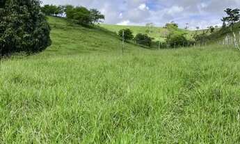 Imagem 7: Sítio para Venda em Flexeiras, Centro, 3 dormitórios, 1 banheiro