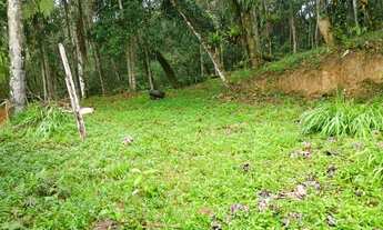 Imagem 4: 2 hectares 247 mil reais aberto negociaçao