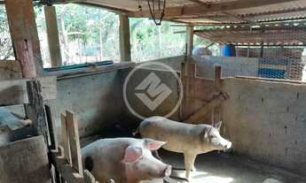 Imagem: Chácara com 3.512 m² Localização Privilegiada