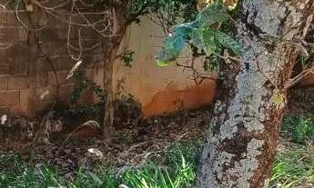 Imagem 7: TERRENO - JARDIM ANHANGÜERA - SP