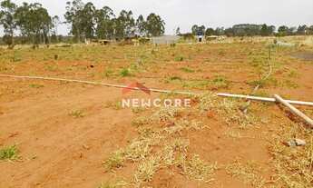 Imagem 4: Casa em Área Rural - Área Rural de Uberlândia - Uberlândia/MG