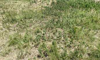 Imagem 5: VENDO OU TROCO TERRENO 35x45