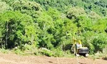 Imagem 3: Sítio / Chácara para Venda em Nova Petrópolis, Linha Riachuelo