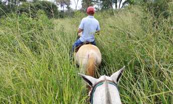 Imagem 2: Fazenda 75 hectares