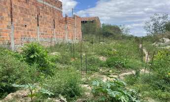 Imagem 4: Vendo terreno viveiros