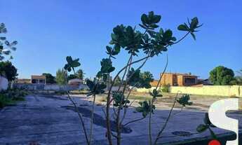 Imagem 6: TERRENO para aluguel, 15 vagas, Vila Peri - Fortaleza/CE