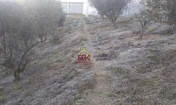 Imagem 3: Sítio com 1 dormitório à venda, 198000 m² por R$ 5.645.000,00 - Pinhal Novo - Lorena/SP