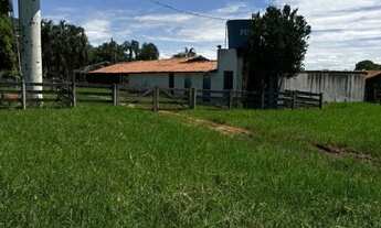 Imagem 7: VENDO FAZENDA EM PALMEIRAS DE GOIAS
