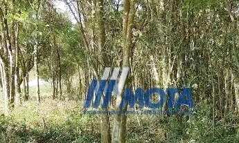 Imagem 5: Área à venda, 21716 m² por R$ 1.400.000,00 - Roça Grande - Colombo/PR